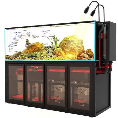 匯龍魚缸價格表圖片 匯龍魚缸價格表圖片 龍魚百科 第31張