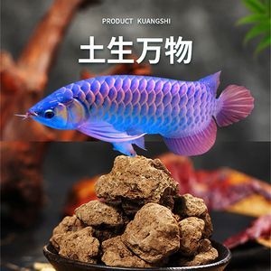 黑水對(duì)龍魚(yú)發(fā)色到底有用沒(méi)：黑水對(duì)龍魚(yú)發(fā)色到底有用沒(méi)有 黑水對(duì)龍魚(yú)發(fā)色到底有用沒(méi)：黑水對(duì)龍魚(yú)發(fā)色到底有用沒(méi)有 龍魚(yú)百科 第3張