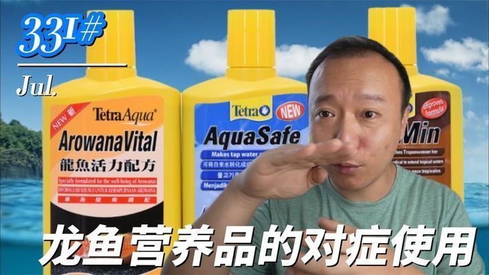 薩德斯塔龍魚怎么樣繁殖：薩德斯塔龍魚怎么樣繁殖薩德斯塔龍魚的繁殖方法 薩德斯塔龍魚怎么樣繁殖：薩德斯塔龍魚怎么樣繁殖薩德斯塔龍魚的繁殖方法 龍魚百科 第2張