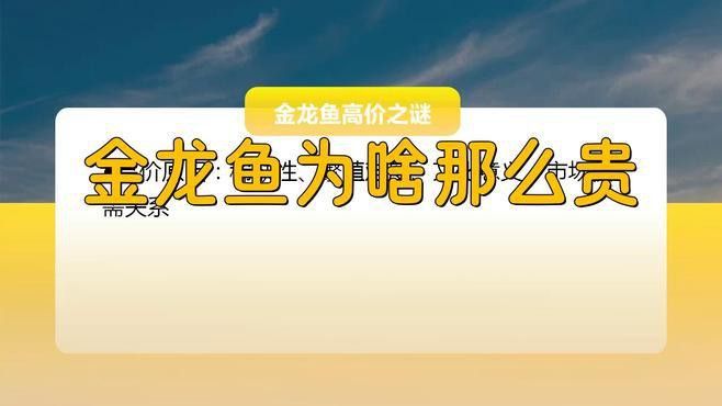 為啥金龍魚那么貴