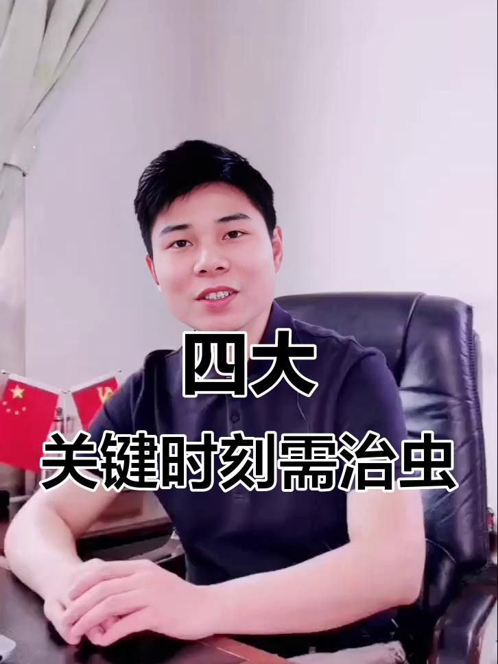 龍魚除蟲的最佳時機是什么時候？ 龍魚除蟲的最佳時機是什么時候？ 龍魚百科 第1張