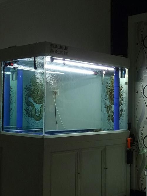 金龍魚(yú)燈管k數(shù)對(duì)發(fā)色的作用是什么