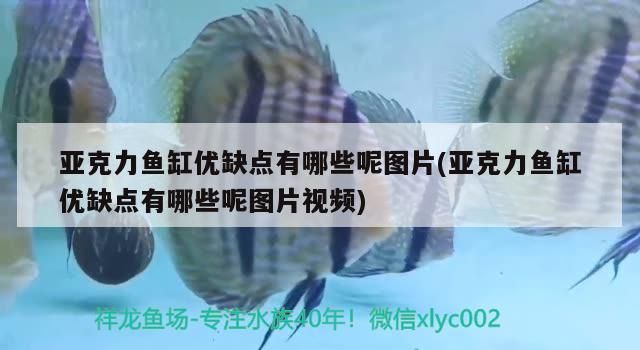亞克力魚缸優缺點有哪些呢圖片(亞克力魚缸優缺點有哪些呢圖片視頻)