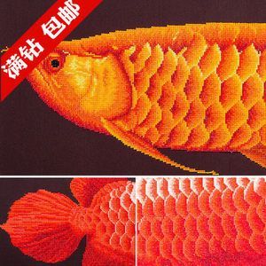 龍魚磚石眼問題：\"龍魚磚石眼問題\" 龍魚磚石眼問題：\"龍魚磚石眼問題\" 龍魚百科 第1張
