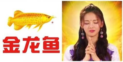 金龍魚廣告臺詞：溫暖親情，金龍魚的大家庭