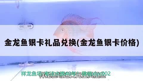 金龍魚奧運限量版銀卡（金龍魚奧運限量版產品收藏指南金龍魚奧運限量版產品收藏指南）