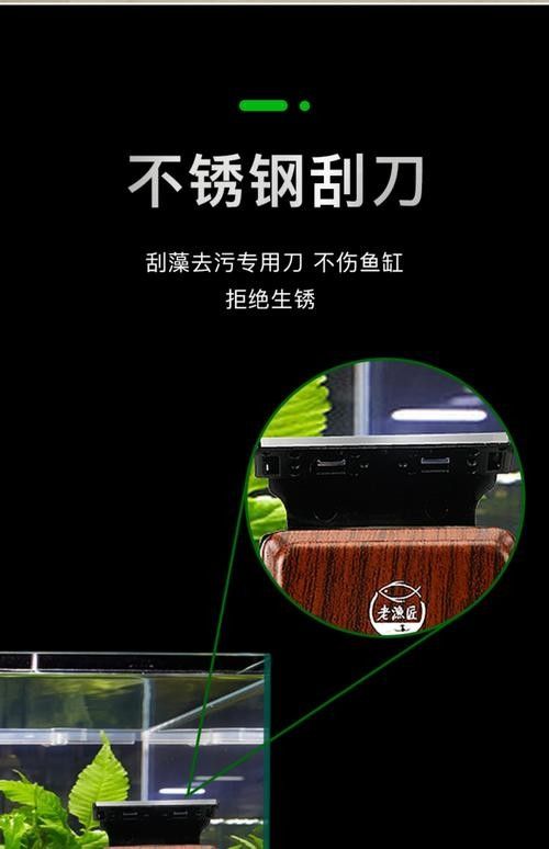 龍魚換魚缸背景 龍魚換魚缸背景 龍魚百科 第27張