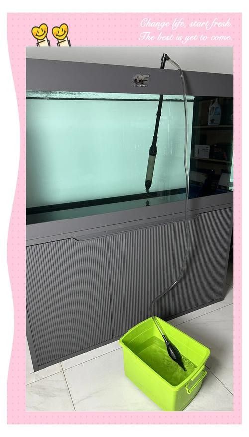 龍魚換魚缸背景 龍魚換魚缸背景 龍魚百科 第24張