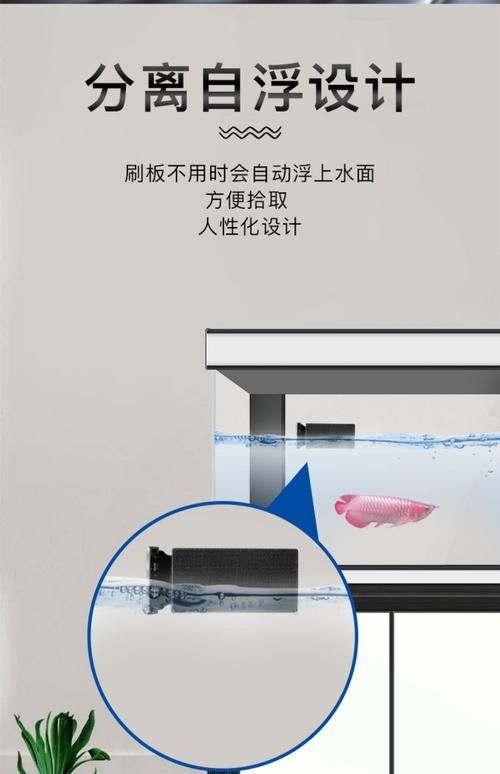 龍魚換魚缸背景 龍魚換魚缸背景 龍魚百科 第26張