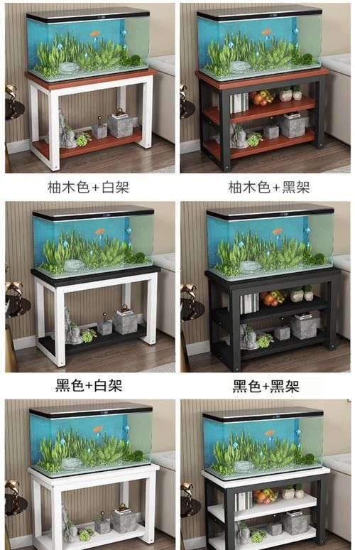 龍魚換魚缸背景 龍魚換魚缸背景 龍魚百科 第25張