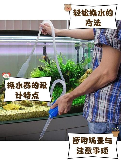 龍魚換魚缸背景 龍魚換魚缸背景 龍魚百科 第23張