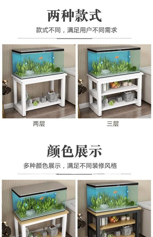 龍魚換魚缸背景 龍魚換魚缸背景 龍魚百科 第28張