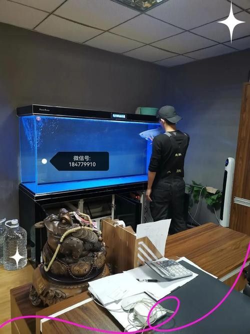 龍魚換魚缸背景 龍魚換魚缸背景 龍魚百科 第30張