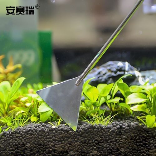 龍魚換魚缸背景 龍魚換魚缸背景 龍魚百科 第33張