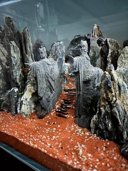 龍魚換魚缸背景 龍魚換魚缸背景 龍魚百科 第32張