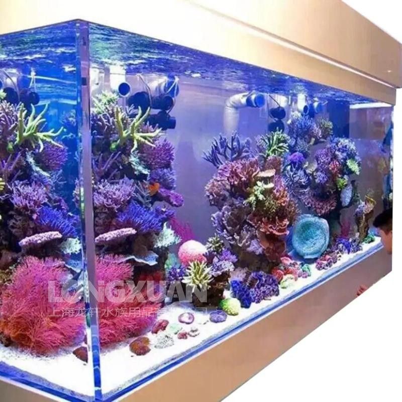 龍魚換魚缸背景 龍魚換魚缸背景 龍魚百科 第35張