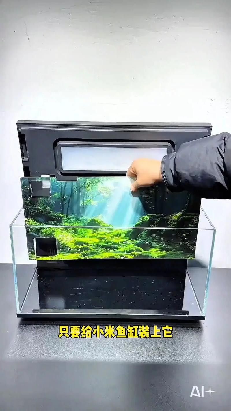 龍魚換魚缸背景 龍魚換魚缸背景 龍魚百科 第34張