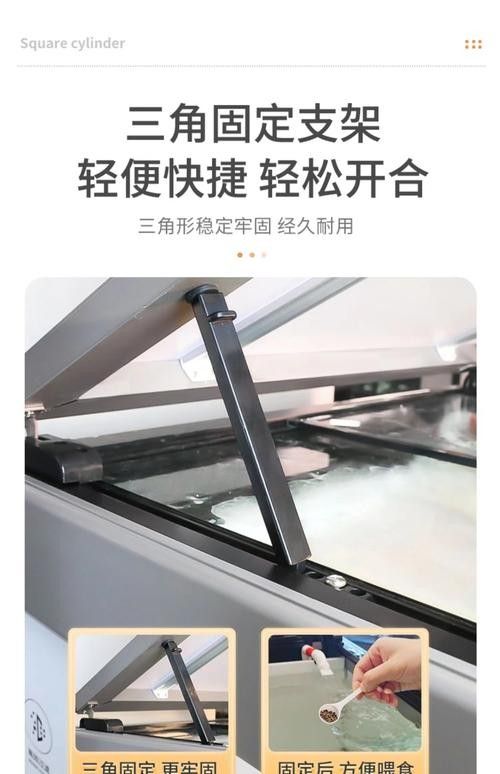 龍魚換魚缸背景 龍魚換魚缸背景 龍魚百科 第40張