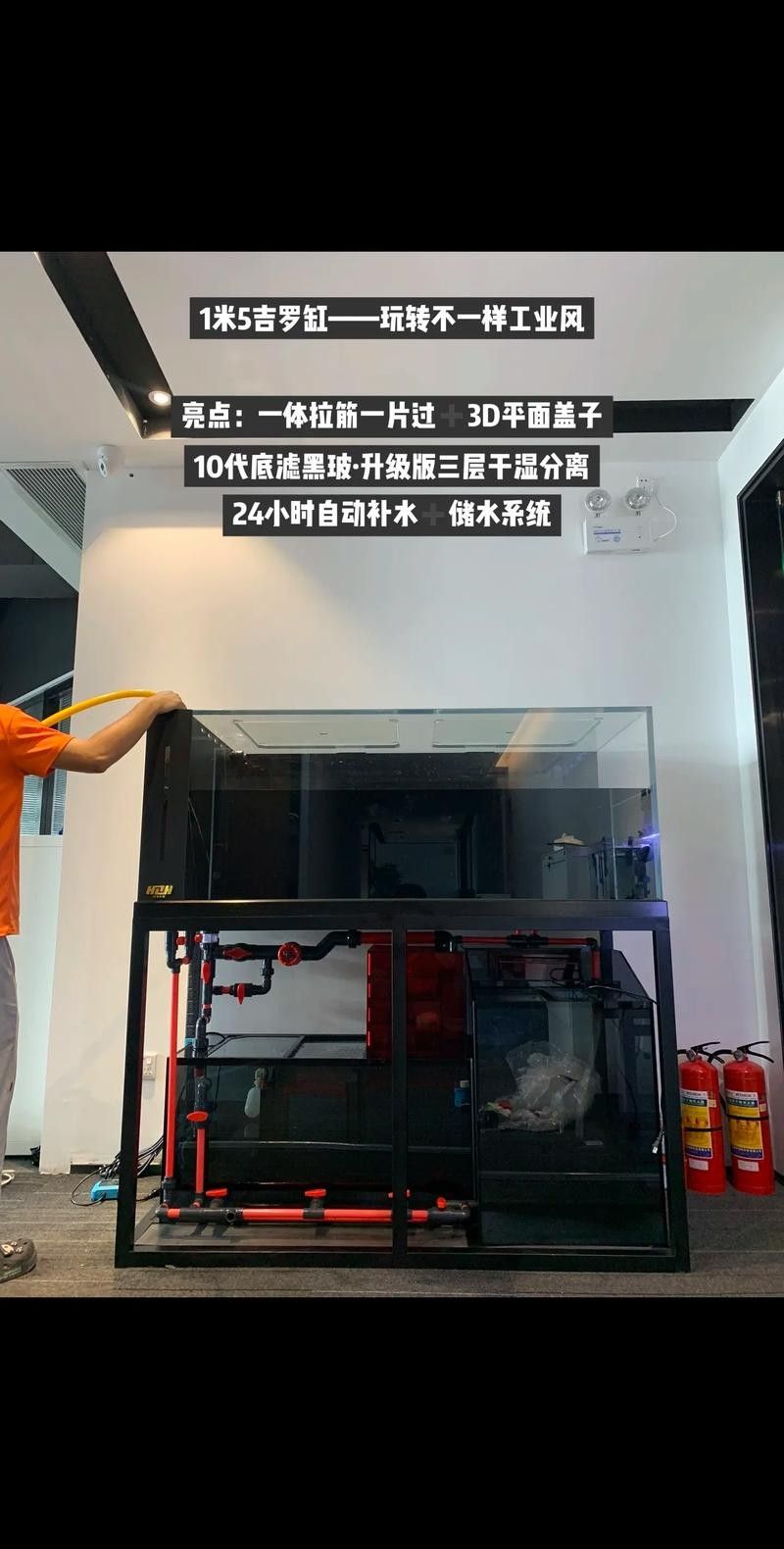 龍魚換魚缸背景 龍魚換魚缸背景 龍魚百科 第37張