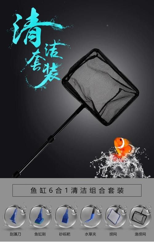 龍魚換魚缸背景 龍魚換魚缸背景 龍魚百科 第38張
