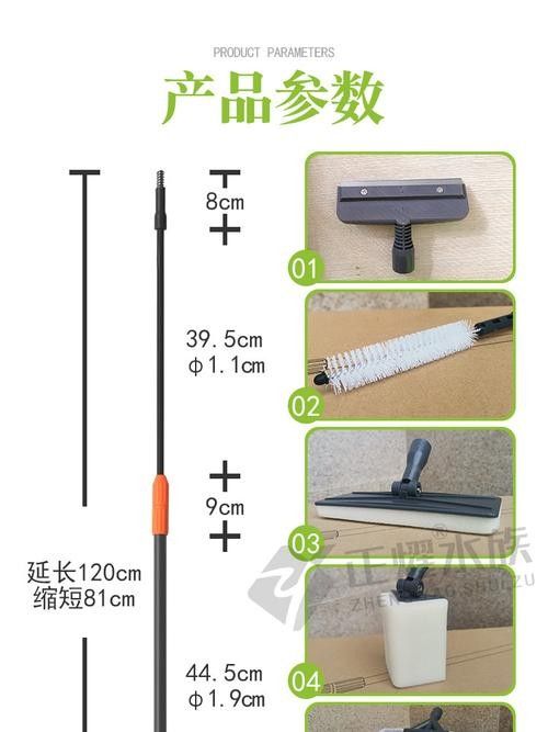 龍魚換魚缸背景 龍魚換魚缸背景 龍魚百科 第43張