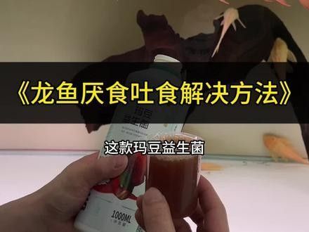 龍魚一個星期不吃東西怎么辦呢