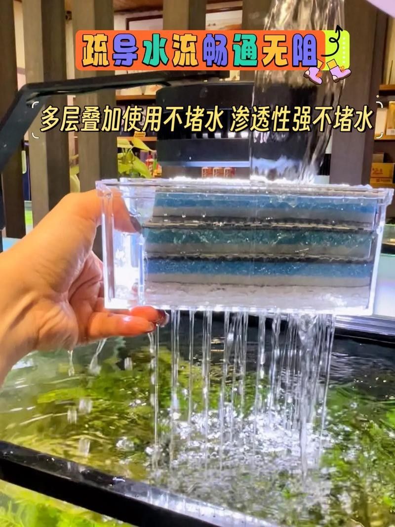 龍魚(yú)缸過(guò)濾棉多久換一次合適