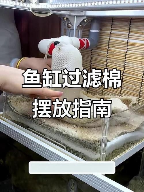 龍魚(yú)缸過(guò)濾棉多久換一次合適