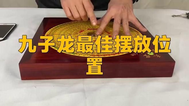 龍生風水的主角有哪些特點？ 龍生風水的主角有哪些特點？ 龍魚百科 第1張