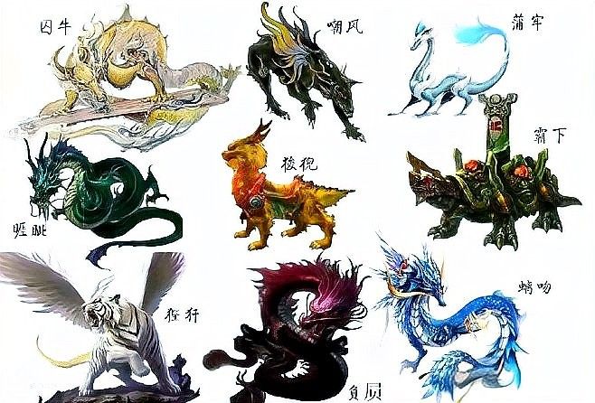 龍生風水的主角有哪些特點？ 龍生風水的主角有哪些特點？ 龍魚百科 第4張