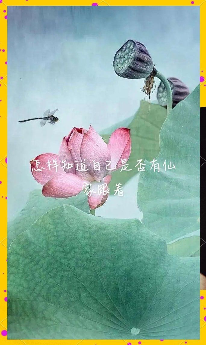 免費查身上有沒有仙家