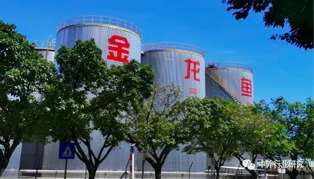 金龍魚發展戰略（金龍魚的發展戰略）