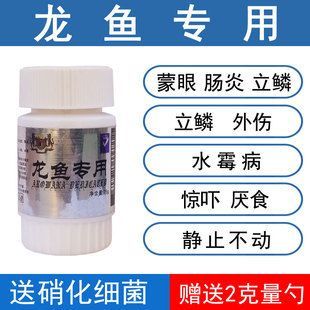 龍魚用什么藥預防疾?。喝绾握_使用甲硝唑