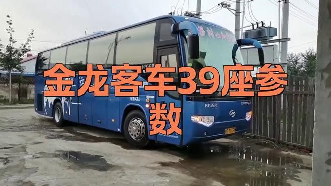 金龍汽車哪個顏色最受歡迎？