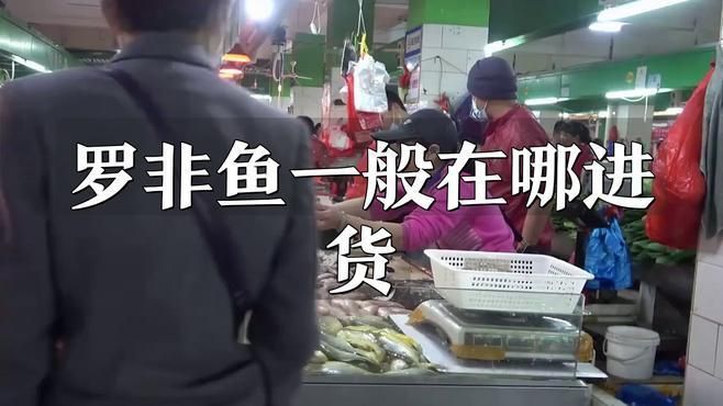 羅非魚一般在哪進貨