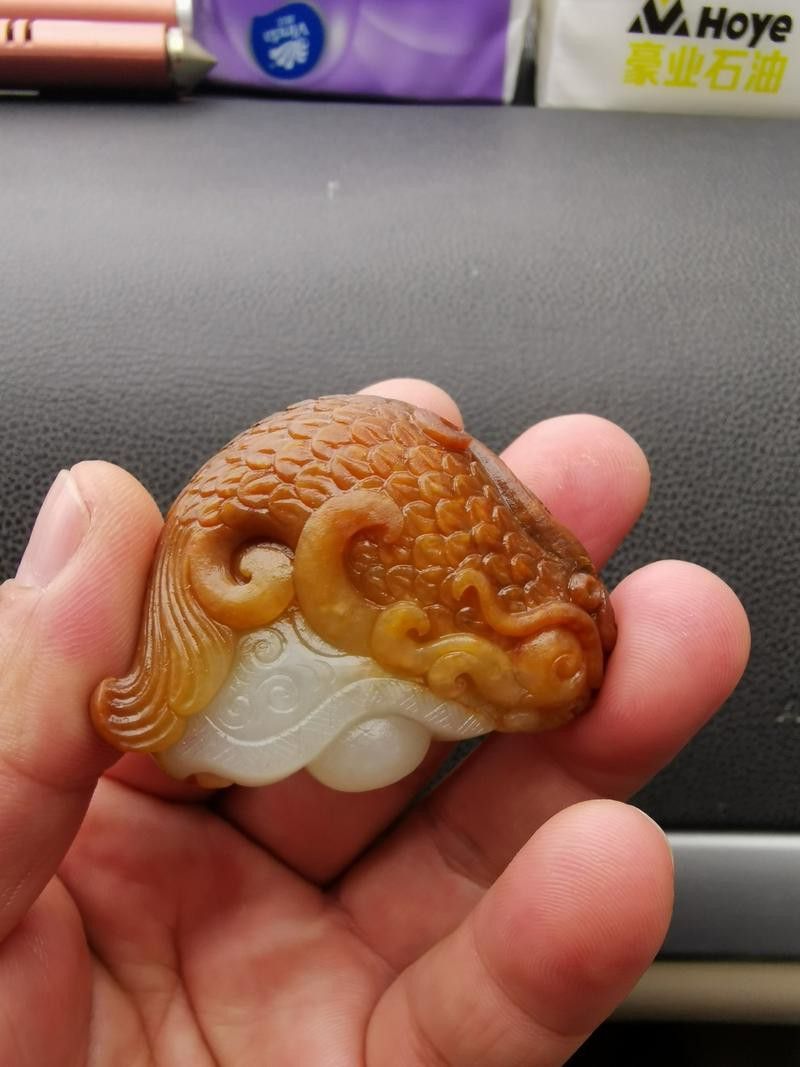 玉金龍魚圖片大全