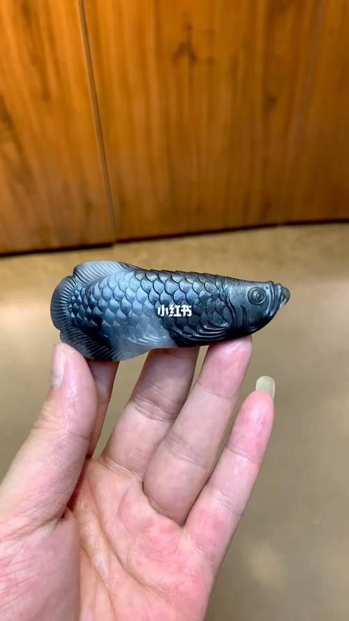 玉金龍魚圖片大全