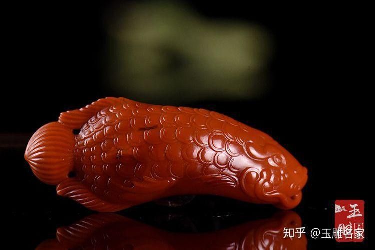玉金龍魚圖片大全