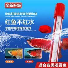 紅龍魚燈什么牌子好用又便宜又好看 紅龍魚燈什么牌子好用又便宜又好看 龍魚百科 第9張