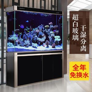 龍魚缸配件,龍魚缸增氧設備選擇指南 龍魚百科 第2張 龍魚缸配件,龍魚缸增氧設備選擇指南 龍魚缸配件,龍魚缸增氧設備選擇指南 龍魚百科 第2張