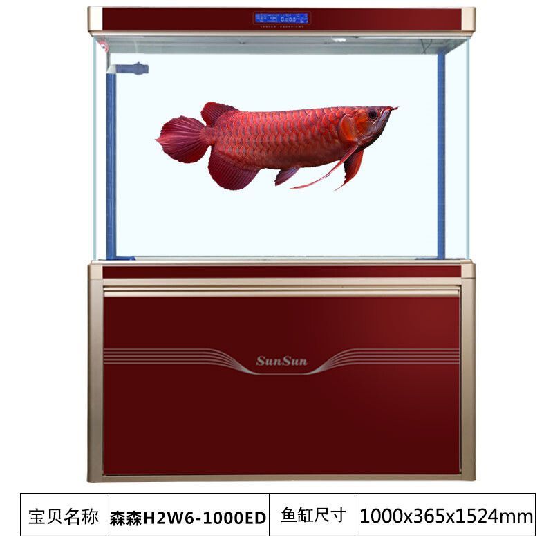 龍魚缸配件,龍魚缸增氧設備選擇指南 龍魚百科 第5張 龍魚缸配件,龍魚缸增氧設備選擇指南 龍魚缸配件,龍魚缸增氧設備選擇指南 龍魚百科 第5張