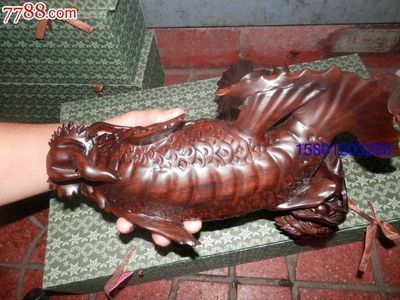黑色龍魚品：關于黑色龍魚的品種根據搜索結果，主要有以下幾種