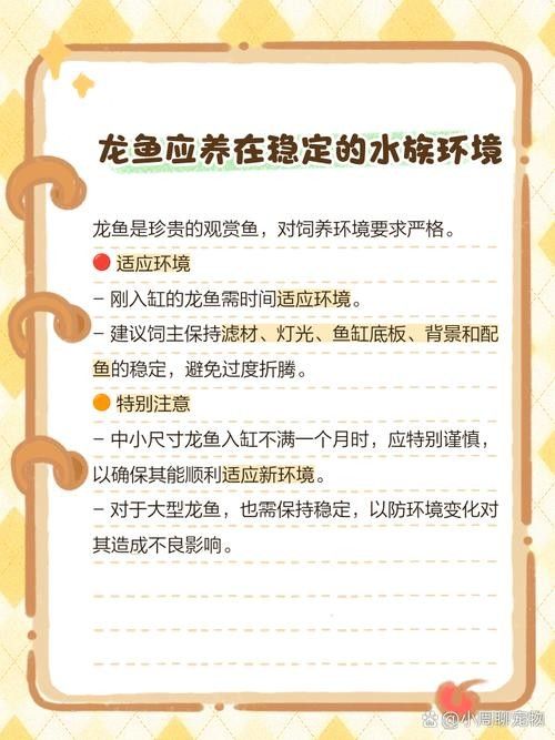 龍魚的飼養(yǎng)方法有哪些圖片