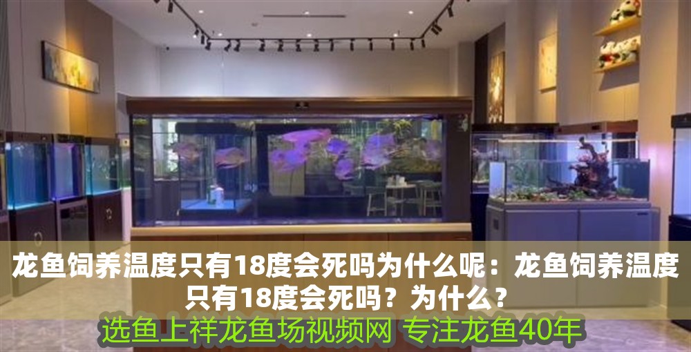 龍魚飼養溫度只有18度會死嗎為什么呢：龍魚飼養溫度只有18度會死嗎？為什么？