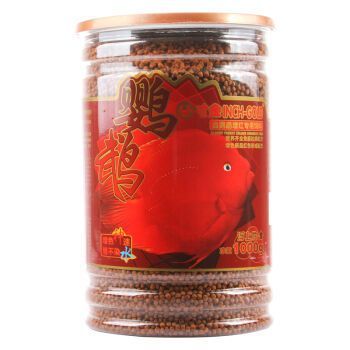 INCH-GOLD寸金魚食購買渠道：inch-gold寸金魚食優(yōu)惠活動查詢 INCH-GOLD寸金魚食購買渠道：inch-gold寸金魚食優(yōu)惠活動查詢 龍魚百科 第3張