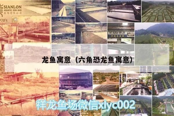 龍魚的含義是什么意思?。堲~在中文文化中象征著權力、威嚴和財富和地位的物品）