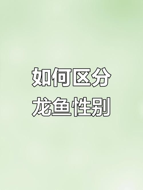 金龍魚公母區別圖