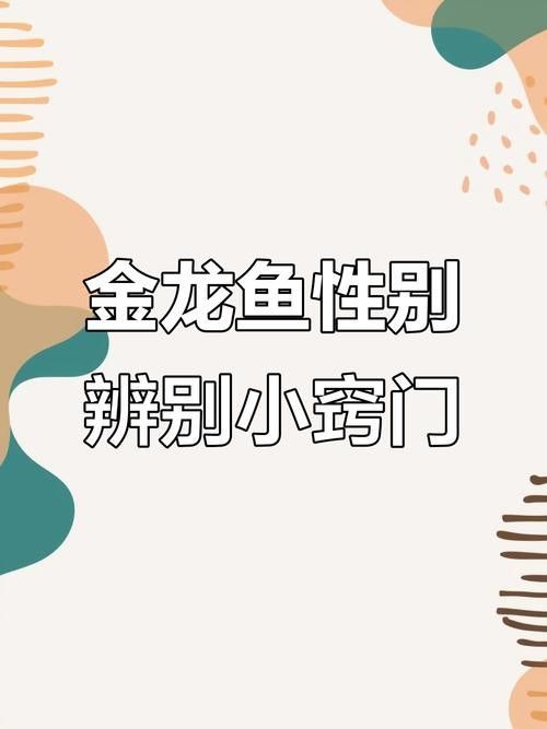 金龍魚公母區別圖