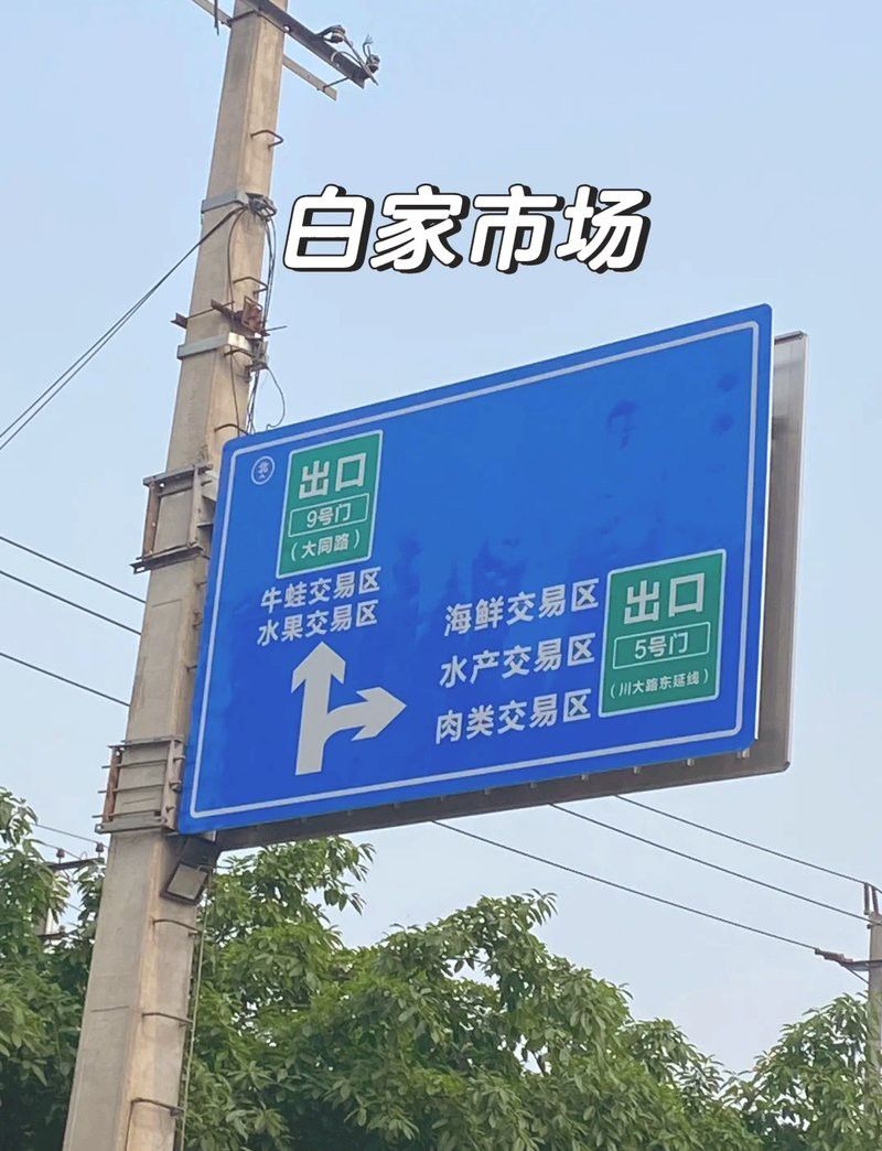 成都龍魚(yú)批發(fā)市場(chǎng)