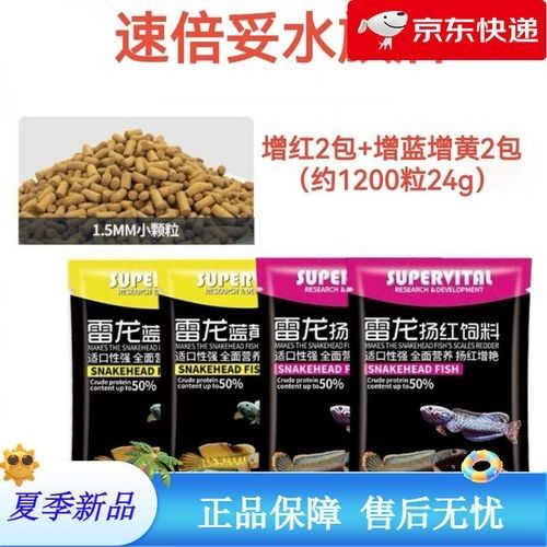 鬼王雷龍魚的食物選擇